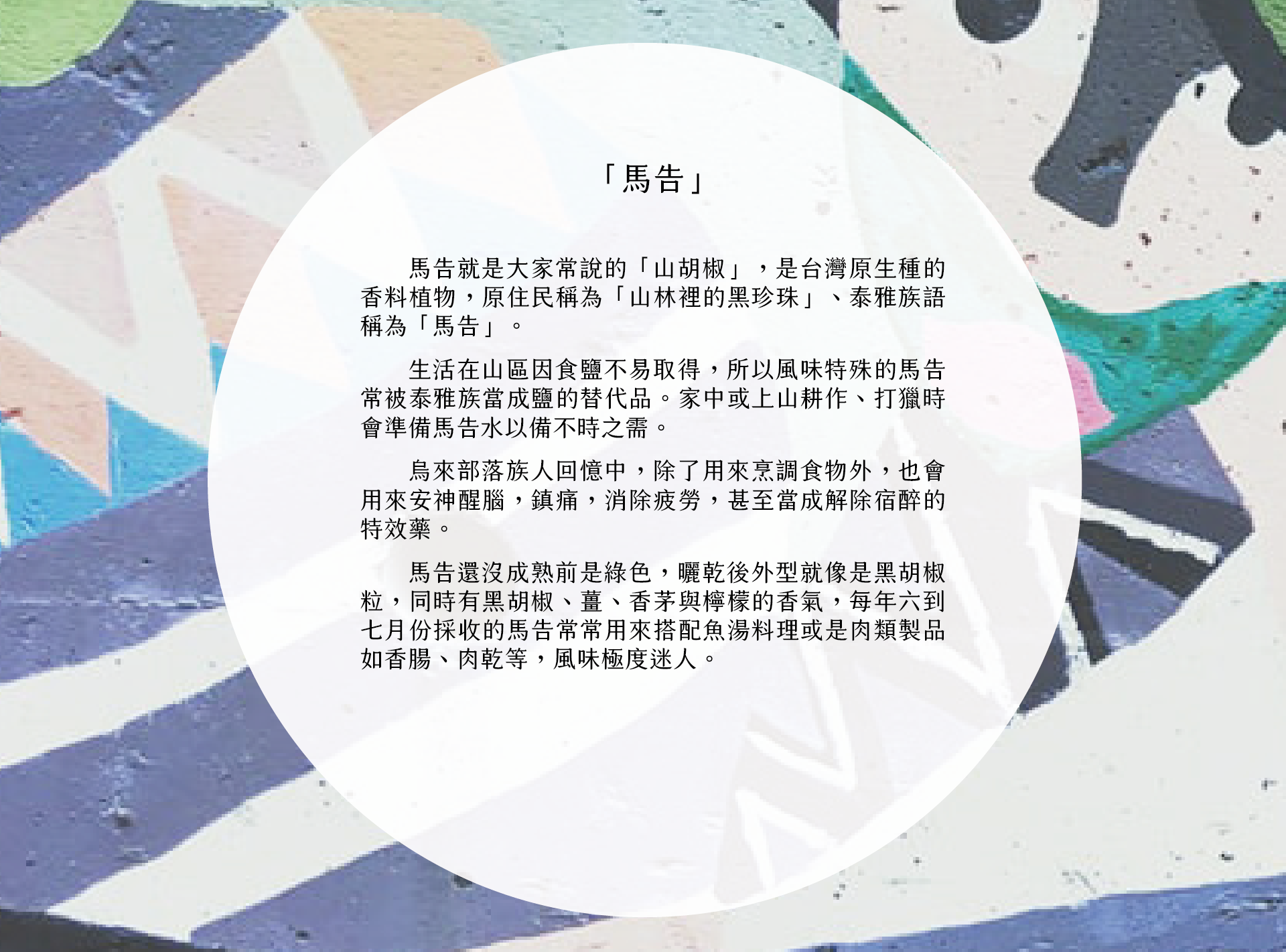 馬告
